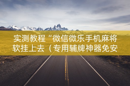 实测教程“微信微乐手机麻将软挂上去（专用辅牌神器免安装）
