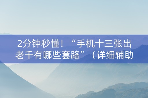 2分钟秒懂！“手机十三张出老千有哪些套路”（详细辅助教程）-哔哩哔哩