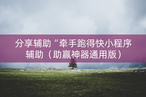 分享辅助“牵手跑得快小程序辅助（助赢神器通用版）