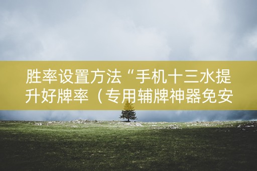 胜率设置方法“手机十三水提升好牌率（专用辅牌神器免安装）