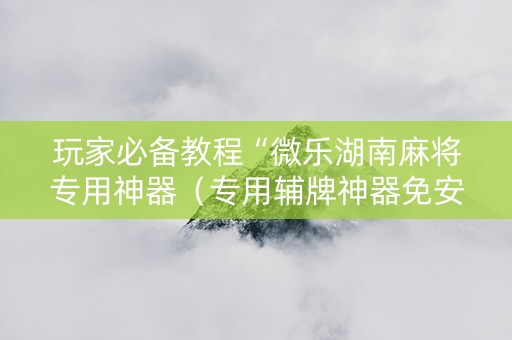 玩家必备教程“微乐湖南麻将专用神器（专用辅牌神器免安装）