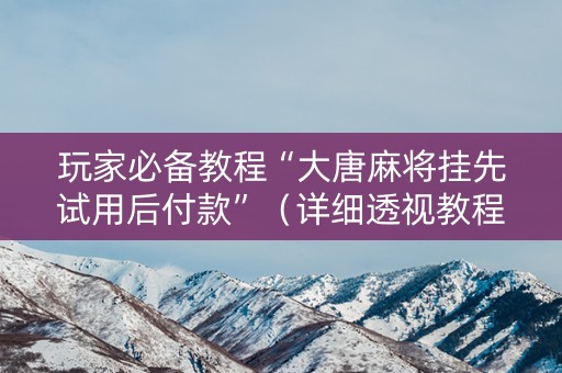 玩家必备教程“大唐麻将挂先试用后付款”（详细透视教程）-哔哩哔哩
