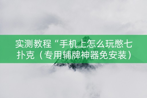 实测教程“手机上怎么玩憋七扑克（专用辅牌神器免安装）
