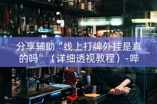 分享辅助“线上打牌外挂是真的吗”（详细透视教程）-哔哩哔哩
