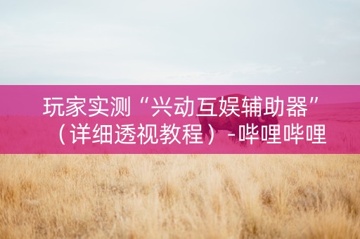 玩家实测“兴动互娱辅助器”（详细透视教程）-哔哩哔哩