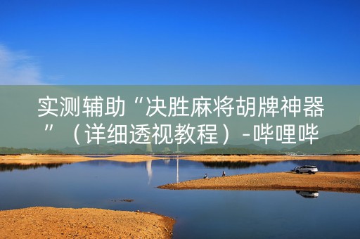 实测辅助“决胜麻将胡牌神器”（详细透视教程）-哔哩哔哩
