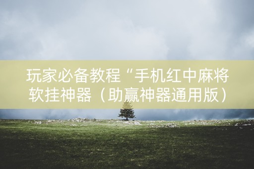 玩家必备教程“手机红中麻将软挂神器（助赢神器通用版）