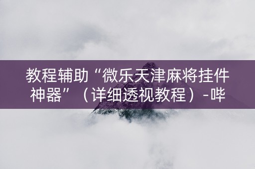 教程辅助“微乐天津麻将挂件神器”（详细透视教程）-哔哩哔哩