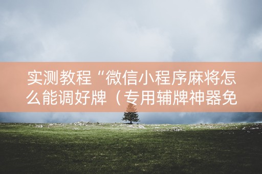 实测教程“微信小程序麻将怎么能调好牌（专用辅牌神器免安装）