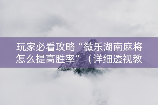 玩家必看攻略“微乐湖南麻将怎么提高胜率”（详细透视教程）-哔哩哔哩