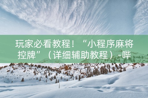 玩家必看教程！“小程序麻将控牌”（详细辅助教程）-哔哩哔哩