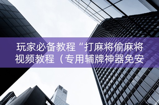 玩家必备教程“打麻将偷麻将视频教程（专用辅牌神器免安装）
