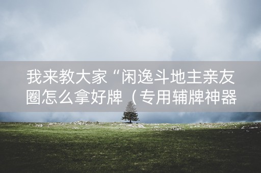 我来教大家“闲逸斗地主亲友圈怎么拿好牌（专用辅牌神器免安装）