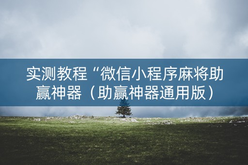 实测教程“微信小程序麻将助赢神器（助赢神器通用版）