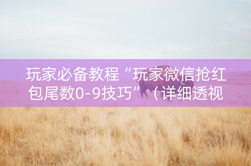 玩家必备教程“玩家微信抢红包尾数0-9技巧”（详细透视教程）-哔哩哔哩