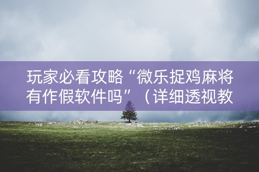 玩家必看攻略“微乐捉鸡麻将有作假软件吗”（详细透视教程）-哔哩哔哩