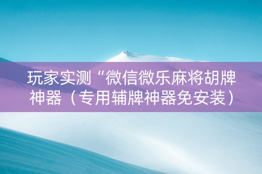 玩家实测“微信微乐麻将胡牌神器（专用辅牌神器免安装）
