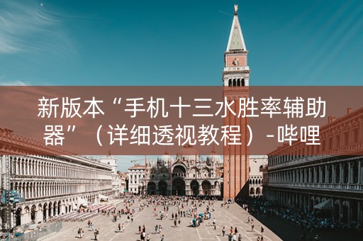 新版本“手机十三水胜率辅助器”（详细透视教程）-哔哩哔哩