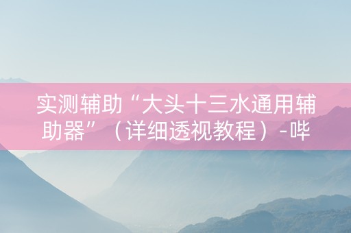 实测辅助“大头十三水通用辅助器”（详细透视教程）-哔哩哔哩