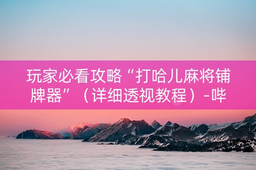 玩家必看攻略“打哈儿麻将铺牌器”（详细透视教程）-哔哩哔哩