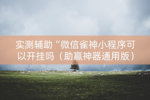 实测辅助“微信雀神小程序可以开挂吗（助赢神器通用版）