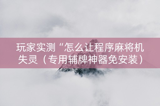 玩家实测“怎么让程序麻将机失灵（专用辅牌神器免安装）