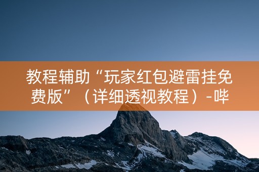 教程辅助“玩家红包避雷挂免费版”（详细透视教程）-哔哩哔哩