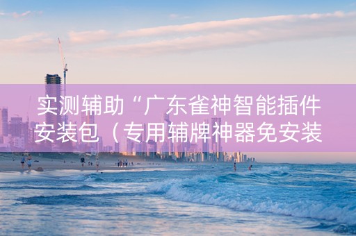 实测辅助“广东雀神智能插件安装包（专用辅牌神器免安装）
