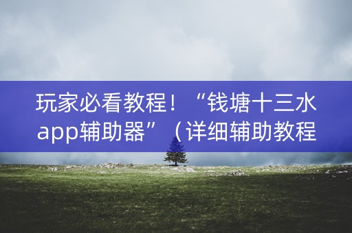 玩家必看教程！“钱塘十三水app辅助器”（详细辅助教程）-哔哩哔哩