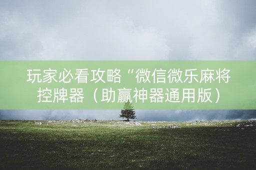 玩家必看攻略“微信微乐麻将控牌器（助赢神器通用版）