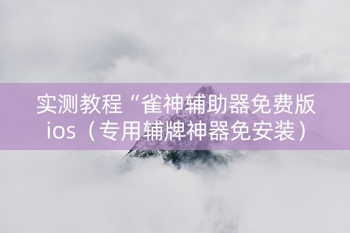实测教程“雀神辅助器免费版ios（专用辅牌神器免安装）
