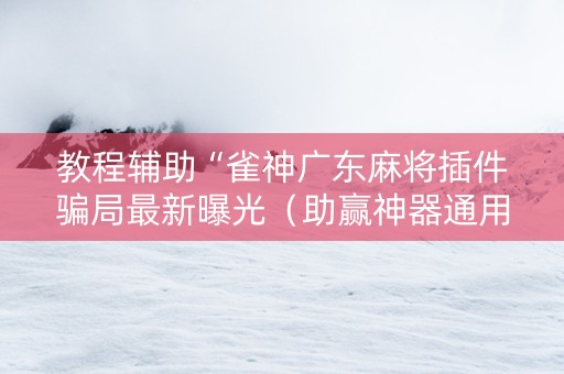 教程辅助“雀神广东麻将插件骗局最新曝光（助赢神器通用版）
