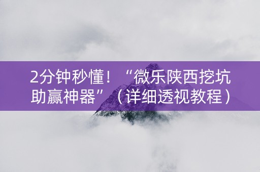 2分钟秒懂！“微乐陕西挖坑助赢神器”（详细透视教程）-哔哩哔哩