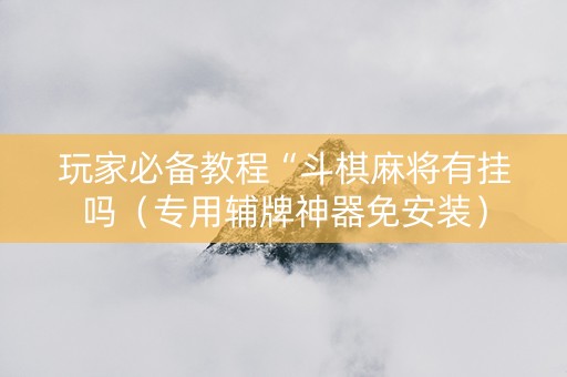 玩家必备教程“斗棋麻将有挂吗（专用辅牌神器免安装）