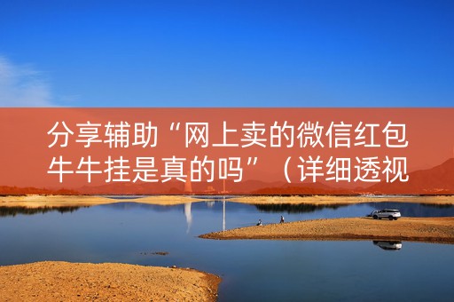 分享辅助“网上卖的微信红包牛牛挂是真的吗”（详细透视教程）-哔哩哔哩