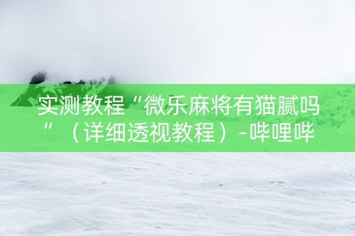 实测教程“微乐麻将有猫腻吗”（详细透视教程）-哔哩哔哩