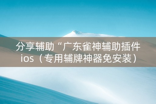 分享辅助“广东雀神辅助插件ios（专用辅牌神器免安装）