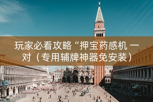 玩家必看攻略“押宝药感机 一对（专用辅牌神器免安装）