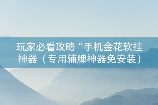 玩家必看攻略“手机金花软挂神器（专用辅牌神器免安装）