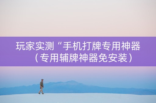玩家实测“手机打牌专用神器（专用辅牌神器免安装）