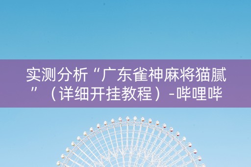 实测分析“广东雀神麻将猫腻”（详细开挂教程）-哔哩哔哩