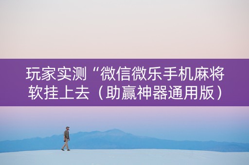 玩家实测“微信微乐手机麻将软挂上去（助赢神器通用版）