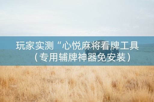 玩家实测“心悦麻将看牌工具（专用辅牌神器免安装）