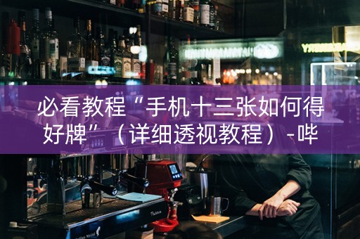 必看教程“手机十三张如何得好牌”（详细透视教程）-哔哩哔哩