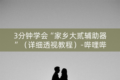 3分钟学会“家乡大贰辅助器”（详细透视教程）-哔哩哔哩