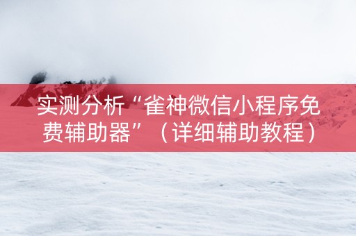 实测分析“雀神微信小程序免费辅助器”（详细辅助教程）-哔哩哔哩