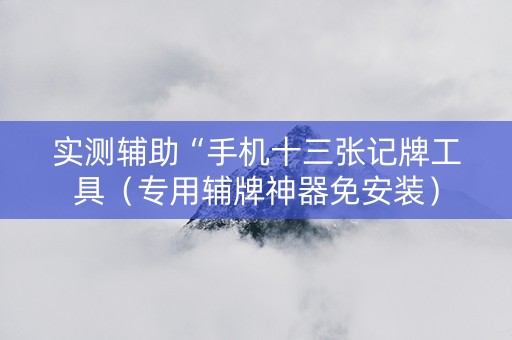 实测辅助“手机十三张记牌工具（专用辅牌神器免安装）