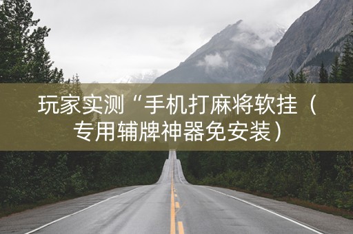 玩家实测“手机打麻将软挂（专用辅牌神器免安装）