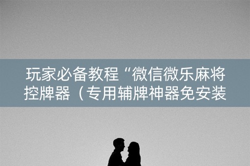 玩家必备教程“微信微乐麻将控牌器（专用辅牌神器免安装）