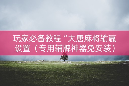 玩家必备教程“大唐麻将输赢设置（专用辅牌神器免安装）